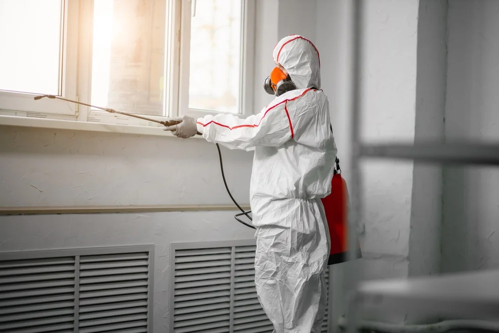 Professional mold remediation services in Kouts, IN